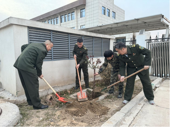 东心经报刊大全